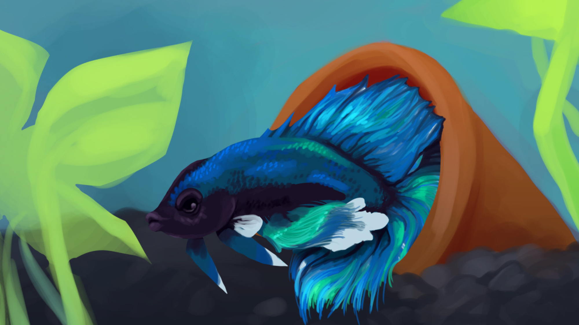 What Pet Stores Get Wrong About Betta Fish Care