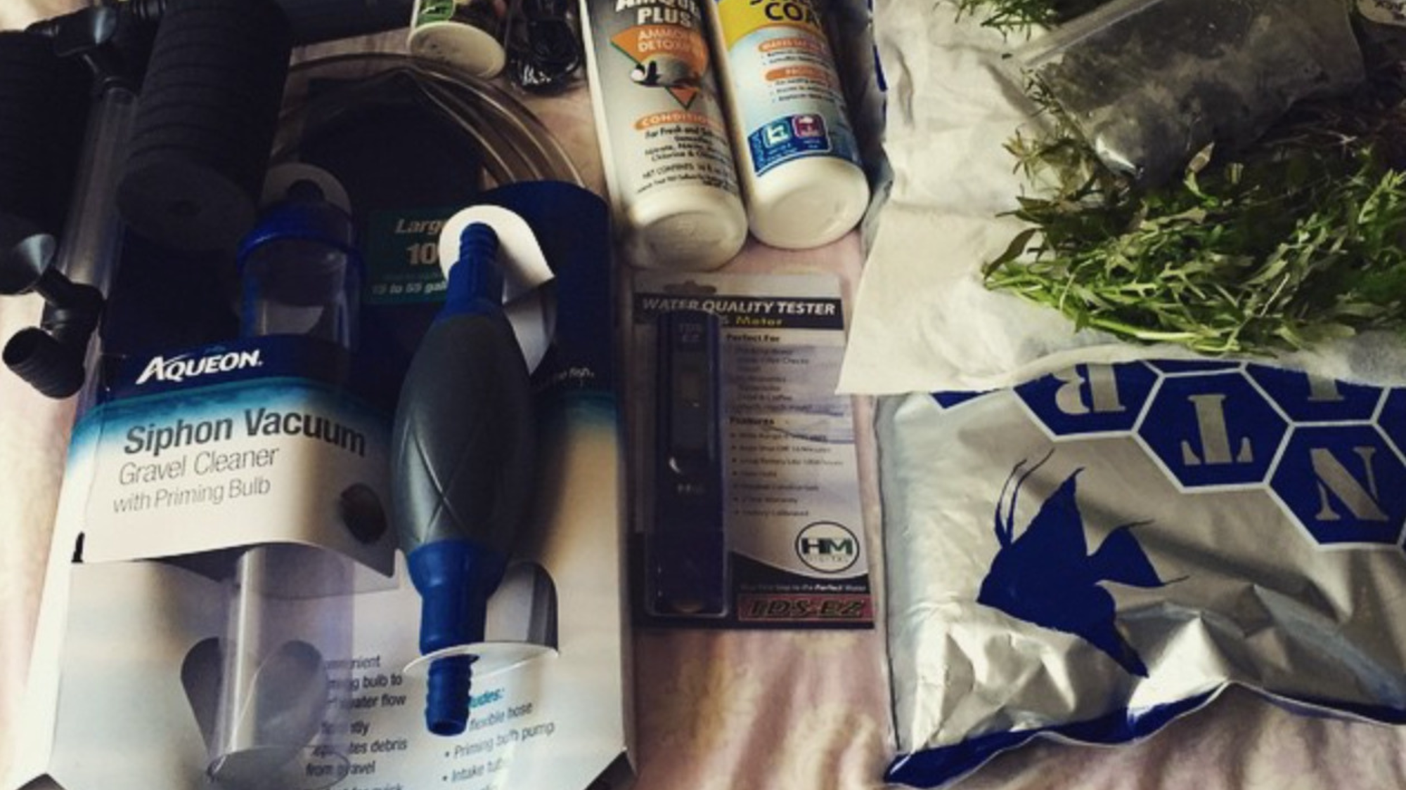 Best Aquarium Equipment Worth Your Money (And What to Skip)