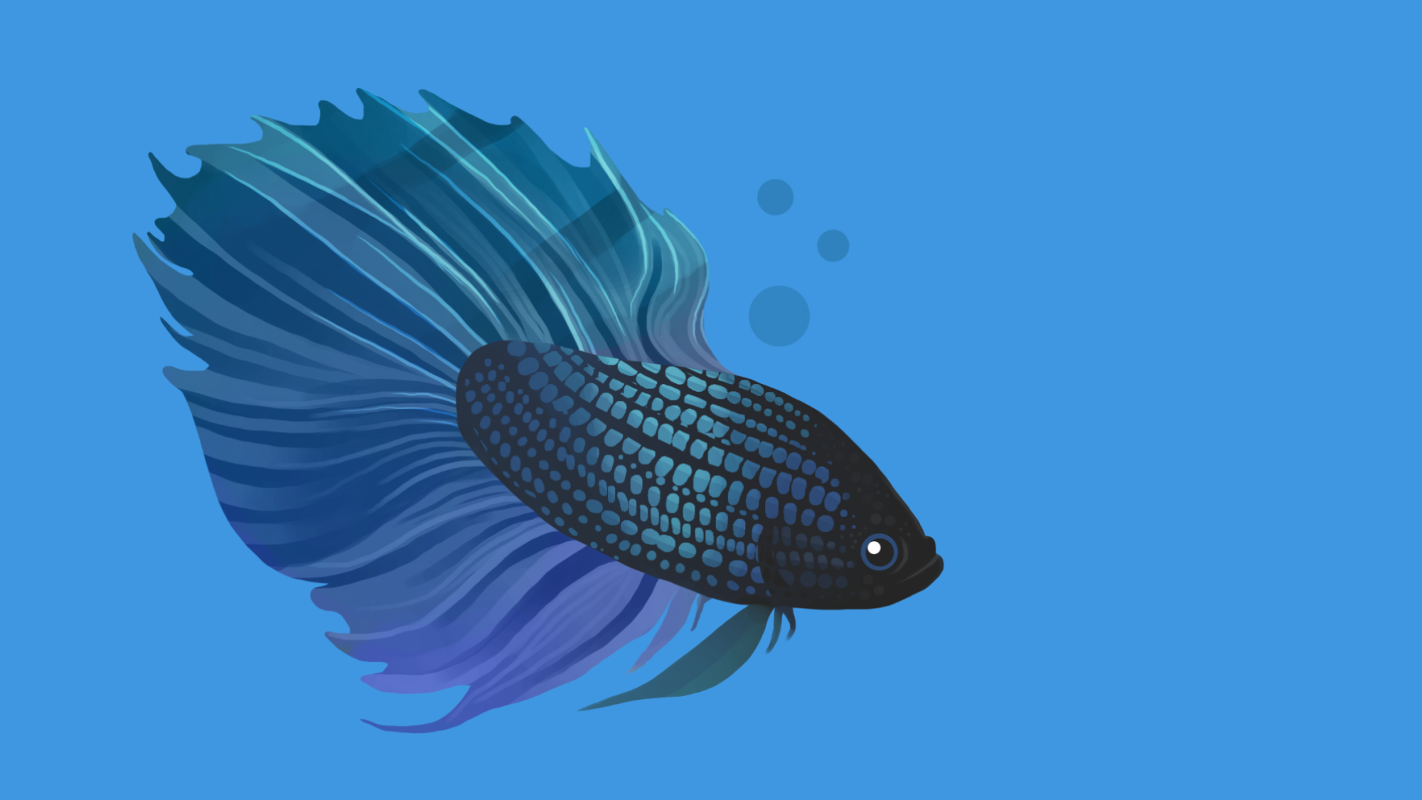 About Blissfish: A Fishkeeping Blog Born from Love & Loss
